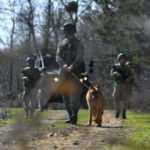 MSB: Fetullah Gülen'in yeğeni Sümeyye Gülen yakalandı