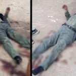 Sakarya&rsquo;da &ccedil;ocuk parkı yanında sokak k&ouml;peği dehşeti! Yaşlı adam ağır yaralandı