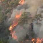 Yargıtay kararını verdi: &Ccedil;ocuğun &ccedil;ıkardığı orman yangınından ailesi sorumlu mu? 