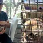 Bursa&rsquo;da anneleri &ouml;len tilkileri kucağında b&uuml;y&uuml;tt&uuml;  