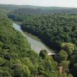 İstanbul'da ormanlara giriş yasağı getirildi: İşte yasağın biteceği tarih