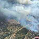 İzmir’de iki orman yangını