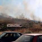 İzmir'in iki ilçesinde orman ve otluk yangını