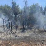 Kilis’te çıkan orman yangını kısa sürede söndürüldü