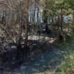 Mersin'de iki noktada çıkan orman yangınları kontrol altına alındı