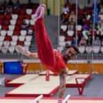 Milli cimnasitikçi Ferhat Arıcan'dan altın madalya!