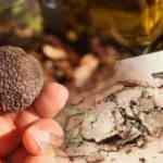 Trüf mantarı faydaları nelerdir? Trüf mantarı nasıl pişirilir?