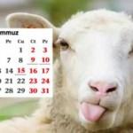 Arife günü tatil mi? Kurban Bayramı tatili kaç gün? Kurban Bayramı 2022...