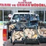 Elazığ&rsquo;da ka&ccedil;ak avlanmaya ge&ccedil;it yok: 84 kişiye 350 bin lira ceza uygulandı