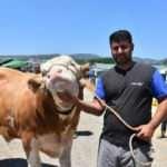 Gaziemir&rsquo;de kurban pazarının en b&uuml;y&uuml;ğ&uuml; 67 bin TL'den satıldı!