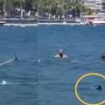 Marmaris'te paspasla kovalandı! K&ouml;pek balığı değilmiş