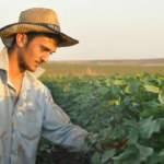 &Uuml;niversiteli tarım iş&ccedil;isinin 40 derecelik sıcakta bayram mesaisi