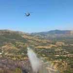 Yangını çıkardığını itiraf etti: Keyfime yaktım