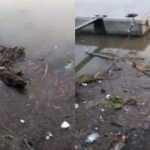 Haliç can çekişiyor, İBB Başkanı İmamoğlu hala tatilde!