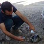 Orman yangınında y&uuml;rek burkan g&ouml;r&uuml;nt&uuml;