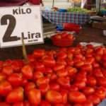 Adana'da domatesin kilosu 2 liraya düştü