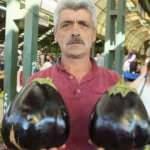 Bu patlıcanları gören şaşırıyor