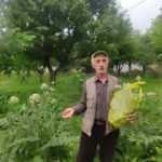 Denemek i&ccedil;in atıl durumdaki arazisine ekti, sonu&ccedil; karşısında şaşkına d&ouml;nd&uuml;