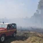 Fransa&rsquo;da kırmızı alarm: Orman yangınları 7. g&uuml;n&uuml;nde!