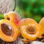 Kayısı çekirdeği yağı faydaları nelerdir? Kayısı çekirdeği yağı yüze sürülür mü?