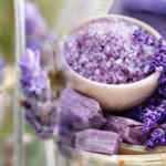 Lavantanın koklamanın faydaları nelerdir? Odada lavanta kaynatmak hangi hastalıklara iyi gelir?