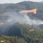 S&ouml;ke&rsquo;de &ccedil;ıkan orman yangınında 50 d&ouml;n&uuml;m alan zarar g&ouml;rd&uuml;