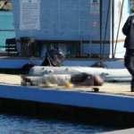 Deniz salyangozu toplarken denizde cesedi bulundu