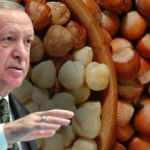 Erdoğan, 2022 fındık alım fiyatını açıkladı