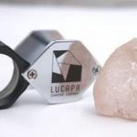 Son 300 yılın en b&uuml;y&uuml;k elması bulundu