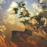 Avrupa'da binlerce kişi sıcaktan hayatını kaybetti