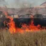 &Ccedil;ocukların ateşle oyunu 20 d&ouml;n&uuml;ml&uuml;k tarım arazisine k&uuml;le &ccedil;evirdi