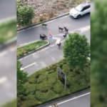 Artık bu dehşete bir son verin! &Ccedil;antası olmasa kadını par&ccedil;alayacaklardı! 