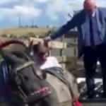 CHP'li Tanal at arabasına bindi: 'AK Partiliyim' cevabını alınca indi 