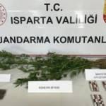 Isparta'da uyuşturucu operasyonu: 1 gözaltı