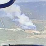 İzmir'de orman yangını