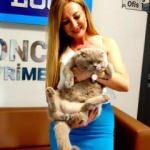 Tam 8,5 kilo! Obez kedi g&ouml;renleri şaşırtıyor