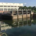 Adana&rsquo;da akılalmaz olay! Aynı yerde 4 g&uuml;nde &uuml;&ccedil;&uuml;nc&uuml; ceset bulundu   