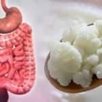 Bağırsaklara ne iyi gelir? Mide ve bağırsakları rahatlatan yiyecek ve içecekler...