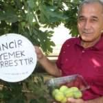 Emekli &ouml;ğretmen incir bah&ccedil;esine herkes yesin diye tabela astı, duasını şehitlere istedi