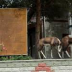 Erzincan&rsquo;da bu sudan i&ccedil;enin şifalı bulduğu s&ouml;yleniyor