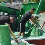 1 Eylül'e son hazırlık: Balıkçılar yeni sezondan umutlu