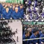 Almanya'dan &Ccedil;in'e Doğu T&uuml;rkistan &ccedil;ağrısı