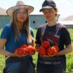 Ankaralı &ccedil;ift&ccedil;iden &uuml;niversiteli kimyager kızlarla 'ortaklık': Tarlasının verimi arttı