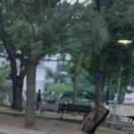 Belediye ağa&ccedil;ları kesti, vatandaş isyan etti