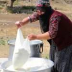 Kahvaltı sofralarının g&ouml;zde lezzeti: Erzincan tulum peyniri