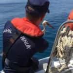 Yaralı leyleğin hayatını sahil g&uuml;venlik kurtardı