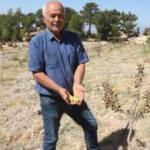 İlk defa denemek i&ccedil;in dikti, trakt&ouml;rle s&uuml;r&uuml;p tahrip ettiler