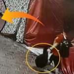 &Ccedil;aldığı &ccedil;antayı beğenmedi, başka d&uuml;kkandaki &ccedil;antayla değiştirdi