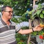 Yetiştirdiği patlıcanlar g&ouml;renler şaşkınca &ccedil;eviriyor