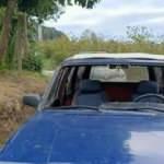 7 yıl hapis cezası vardı, fındık &ccedil;alarken su&ccedil;&uuml;st&uuml; yakalandı